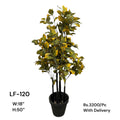 Artificial Green Floral Arrangement with Decorative Designer Pot – Modern Home Décor – LF-120