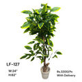 Artificial Green Floral Arrangement with Decorative Designer Pot – Modern Home Décor – LF-127