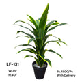 Artificial Green Floral Arrangement with Decorative Designer Pot – Modern Home Décor – LF-131
