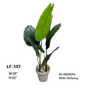 Artificial Green Floral Arrangement with Decorative Designer Pot – Modern Home Décor – LF-147
