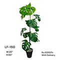 Artificial Green Floral Arrangement with Decorative Designer Pot – Modern Home Décor – LF-150