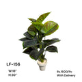 Artificial Green Floral Arrangement with Decorative Designer Pot – Modern Home Décor – LF-156
