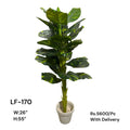 Artificial Green Floral Arrangement with Decorative Designer Pot – Modern Home Décor – LF-170