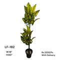 Artificial Green Floral Arrangement with Decorative Designer Pot – Modern Home Décor – LF-182