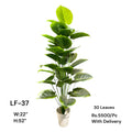 Artificial Green Floral Arrangement with Decorative Designer Pot – Modern Home Décor – LF-37