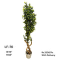 Artificial Green Floral Arrangement with Decorative Designer Pot – Modern Home Décor – LF-76