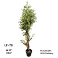 Artificial Green Floral Arrangement with Decorative Designer Pot – Modern Home Décor – LF-78