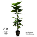 Artificial Green Floral Arrangement with Decorative Designer Pot – Modern Home Décor – LF-81