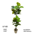 Artificial Green Floral Arrangement with Decorative Designer Pot – Modern Home Décor – LF-82